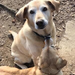 Meet your Posher, Mary